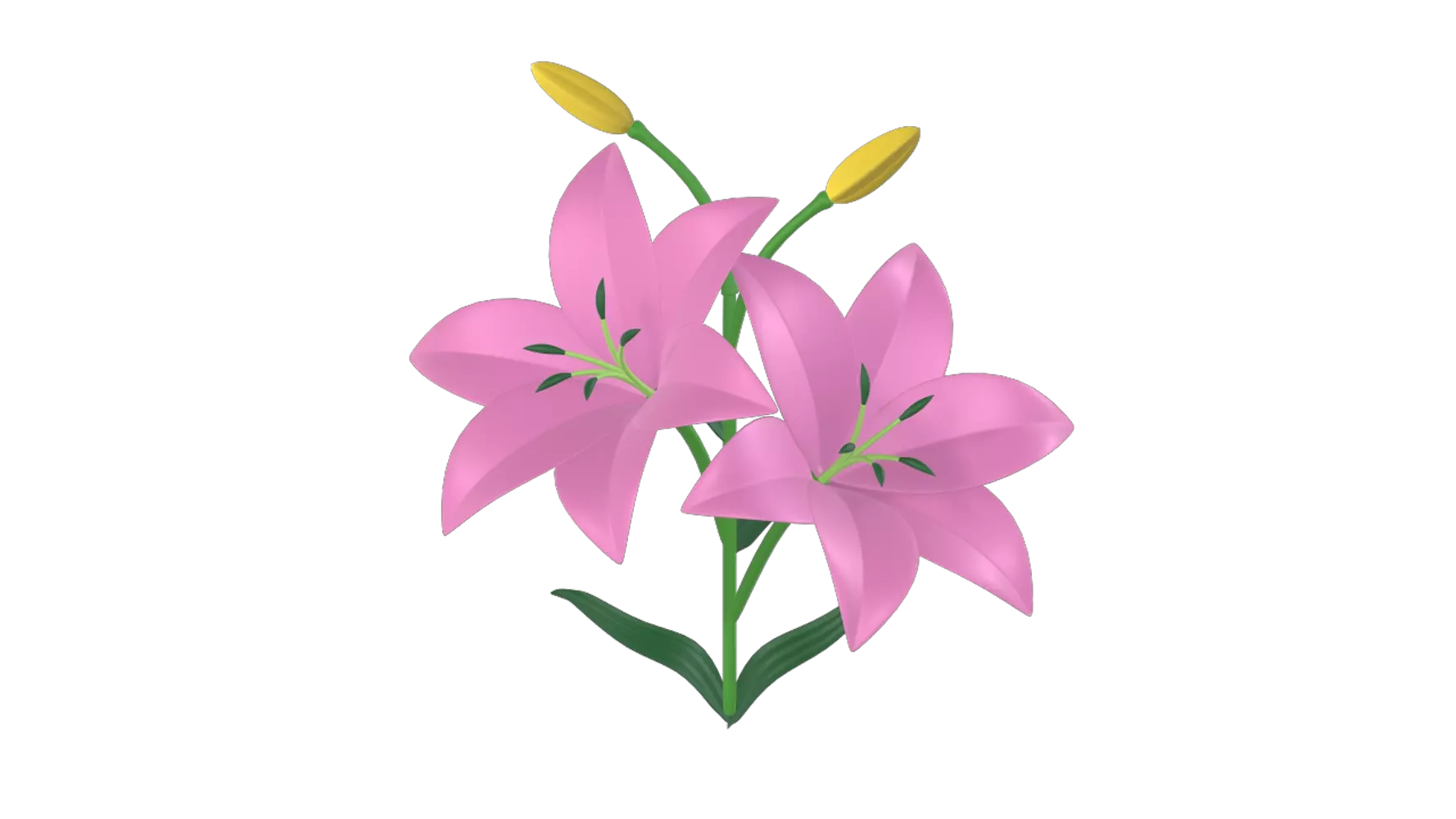 Lilies 3D Graphic