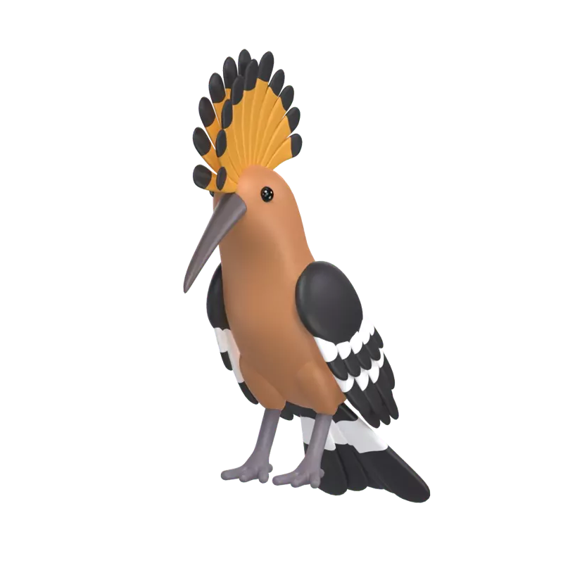 Hoopoe 3D Graphic