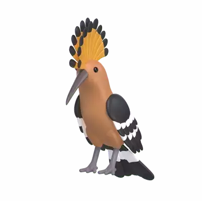 Hoopoe 3D Graphic