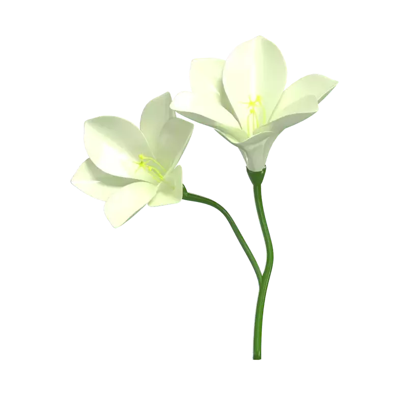 3D Freesia Flower With Two Blossoms 3D Graphic