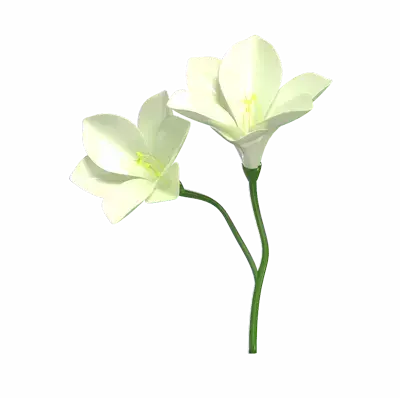3D Freesia Flower With Two Blossoms 3D Graphic