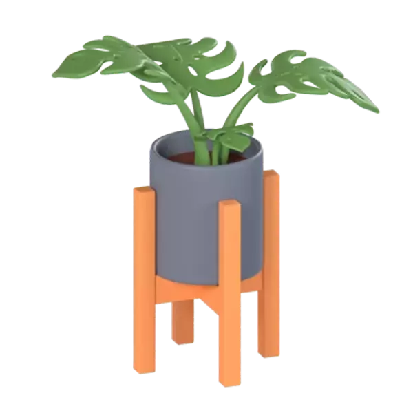 Monstera Deliciosa 3D Graphic