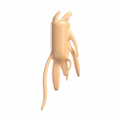 Ginseng 3D Graphic