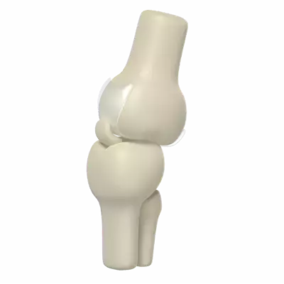 Knee Joint 3d model--6c2710e4-348a-4923-aaf1-d1a43ea6e945