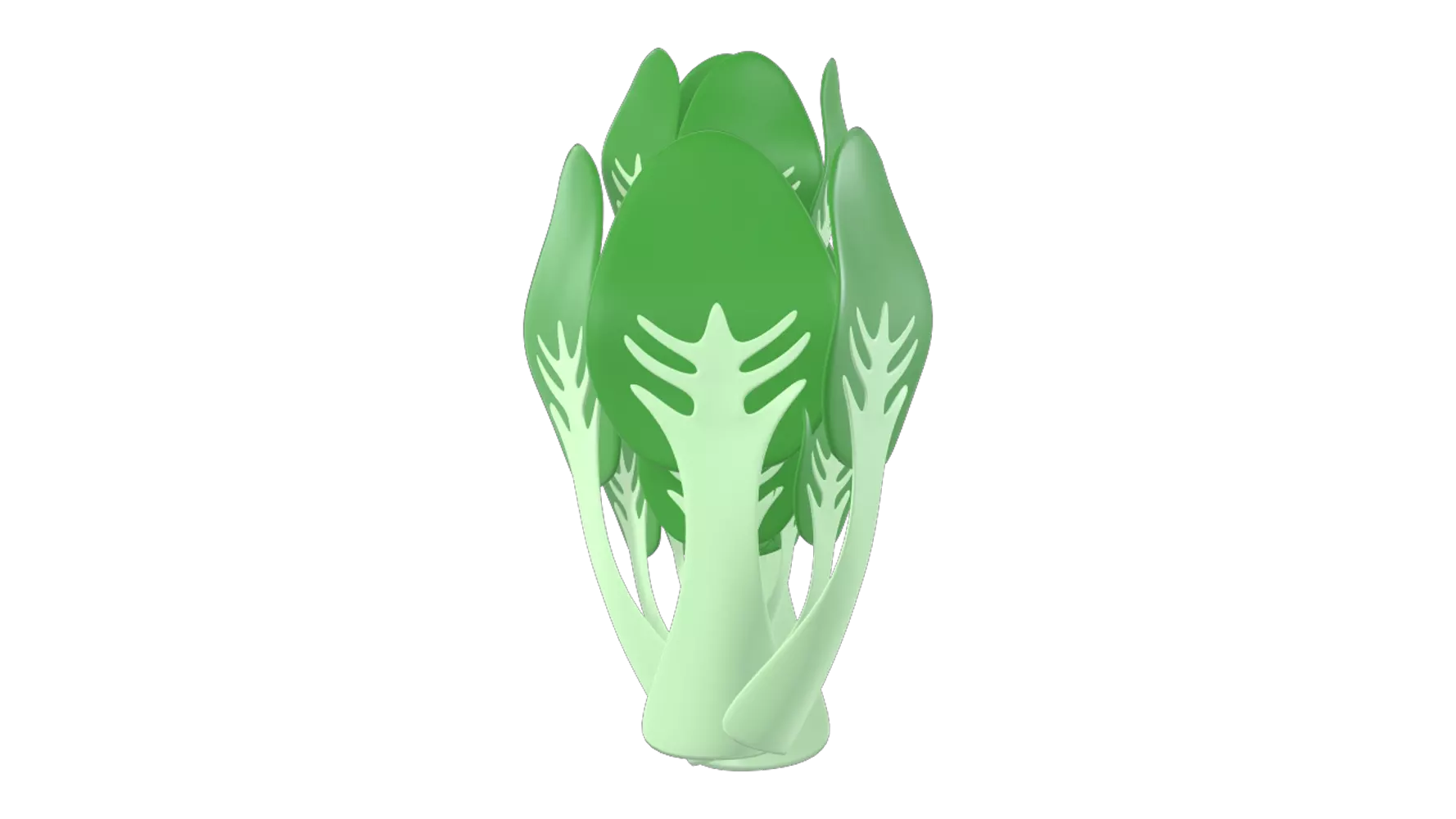 Bok Choy 3D Graphic