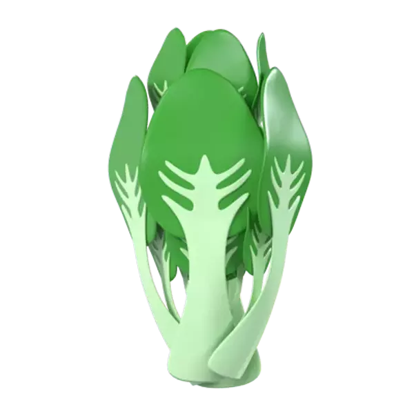 Bok Choy 3D Graphic