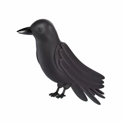 Crow 3D Graphic