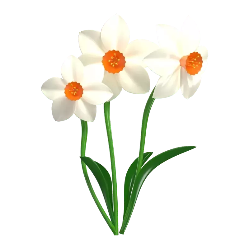 3D Model  Narcissus Flowers With Three Stems