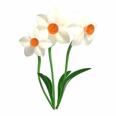 3D Model  Narcissus Flowers With Three Stems 3D Graphic
