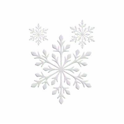 3D Three Snowflakes Model 3D Graphic