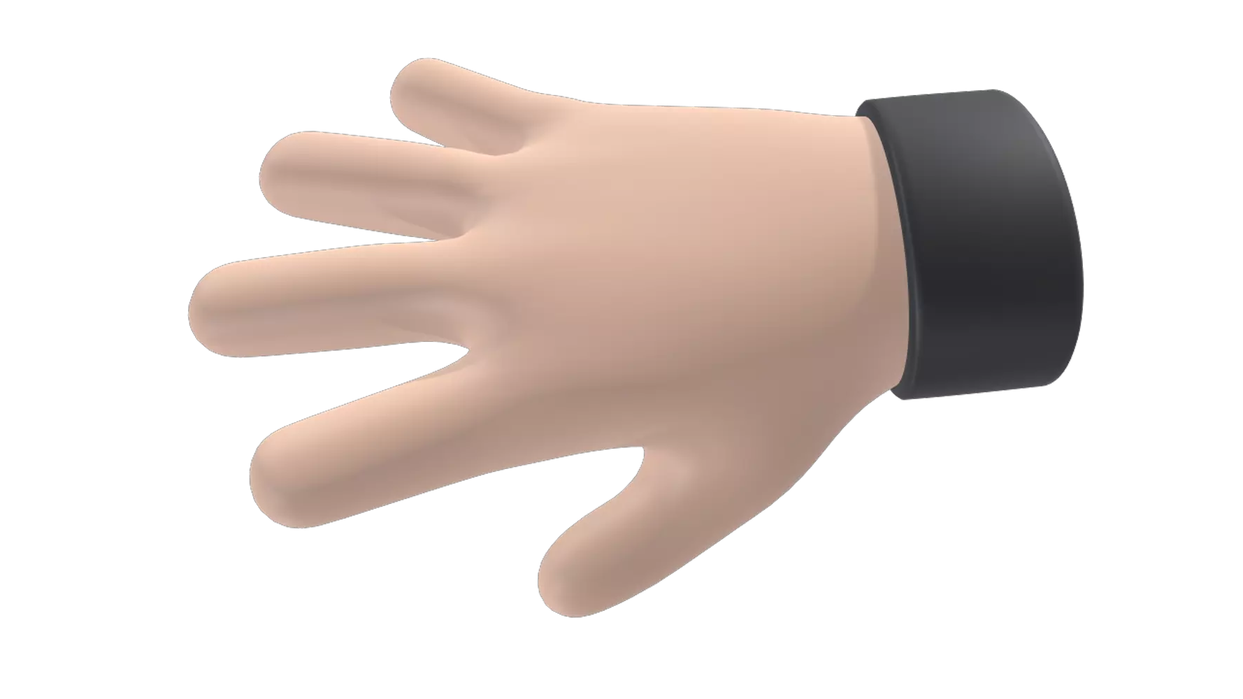 Right Rigged Hand 3D Graphic