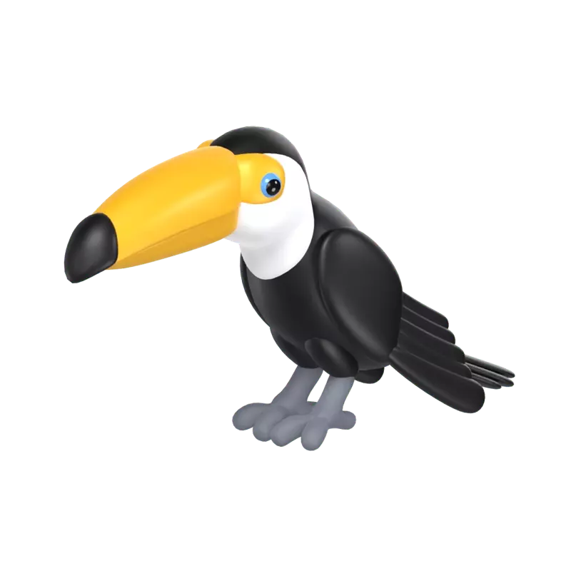 Toco Toucan 3D Graphic