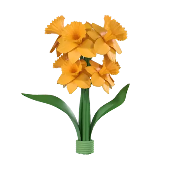 Narcisos 3D Graphic