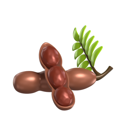 3D Tamarind Model Tropical Fruit With Pulp Exposed 3D Graphic
