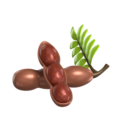 3D Tamarindo Modelo Fruta Tropical Con Pulpa Expuesta 3D Graphic