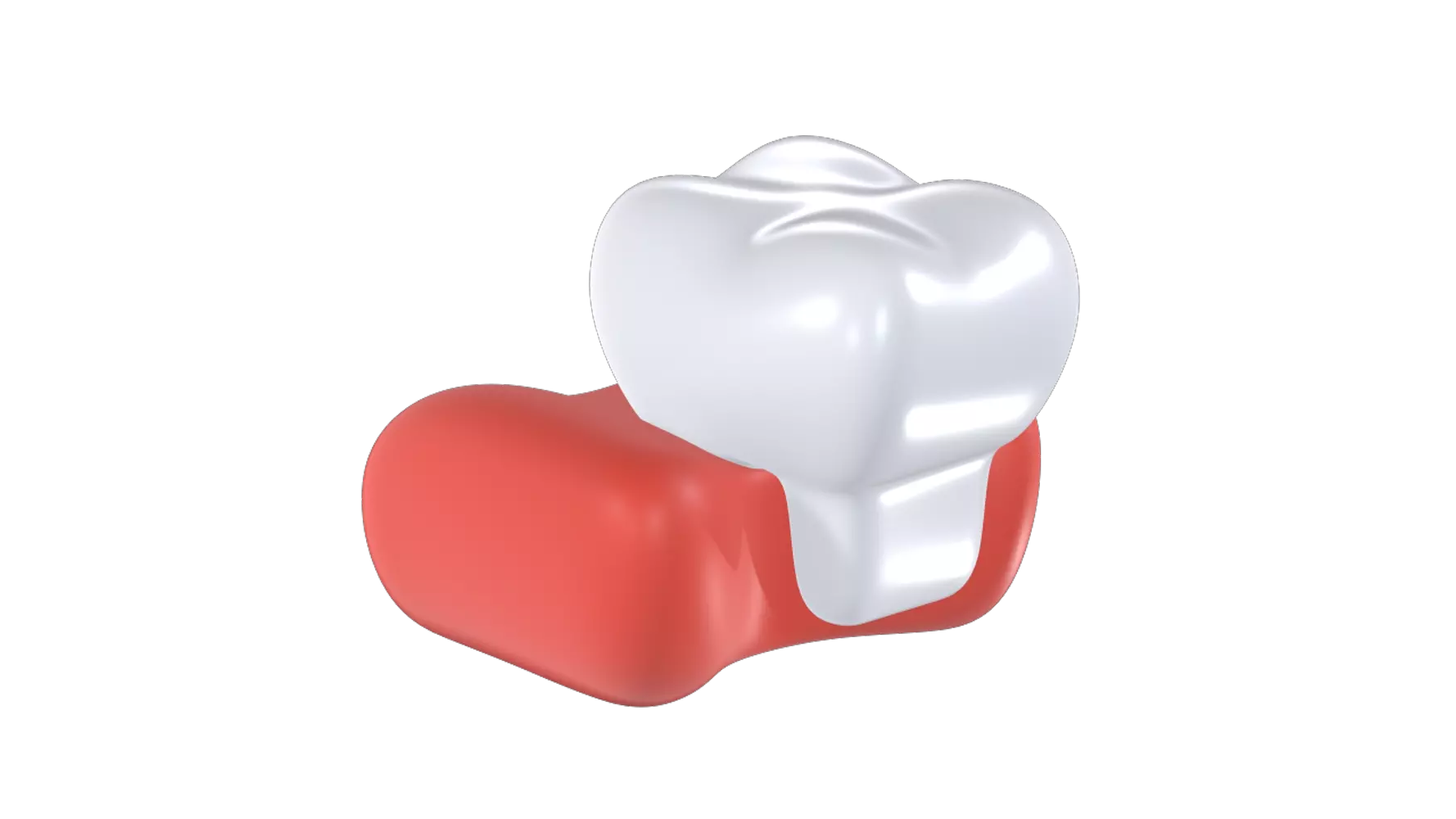 Incisor 3D Graphic