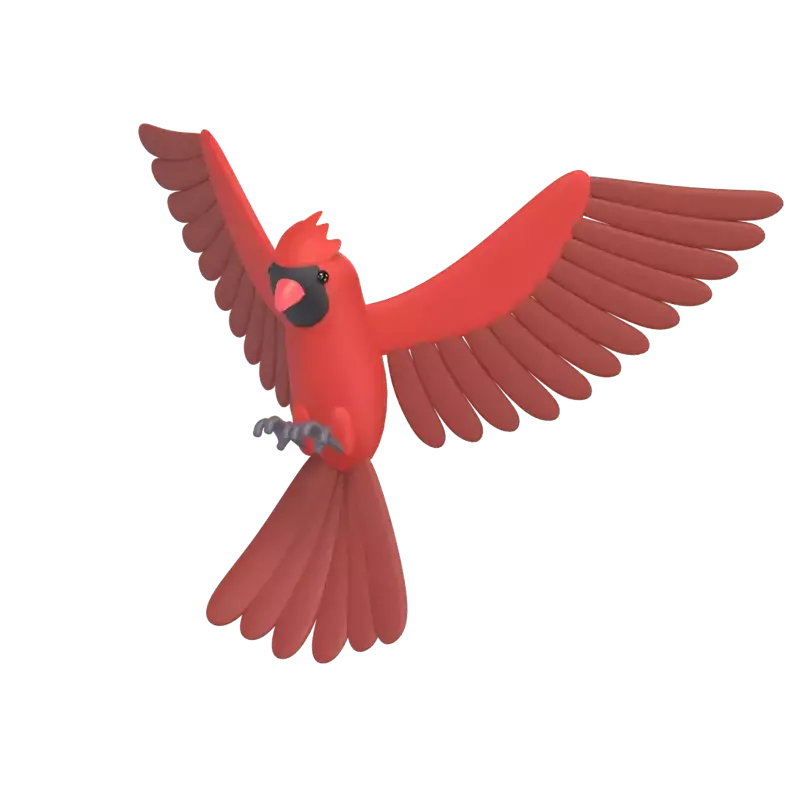 Cardinal 3D Graphic