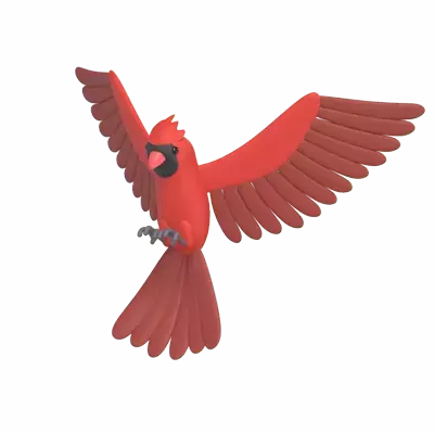 Cardinal 3D Graphic