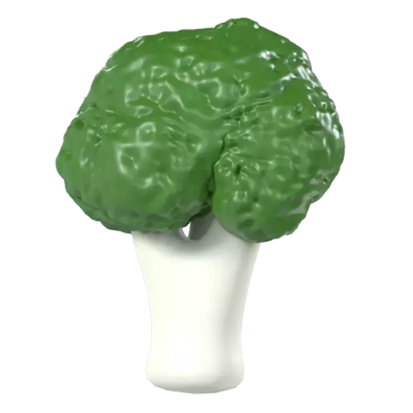 Broccoli 3d model--08ee1d8d-93c1-4230-a5a9-c245d0f72b57