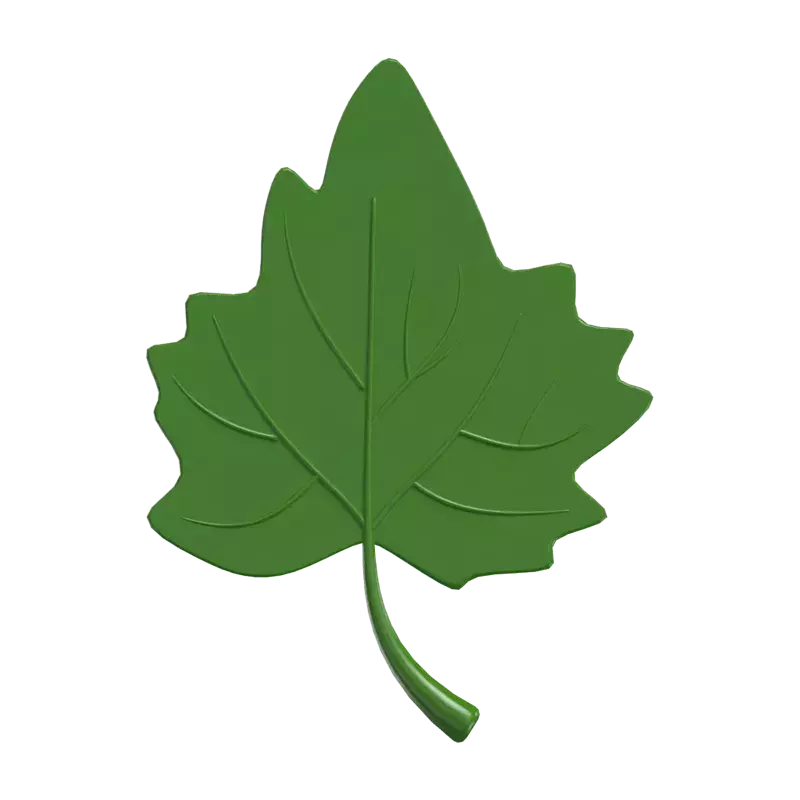 3D Spring Leaf Icon Model 3D Graphic