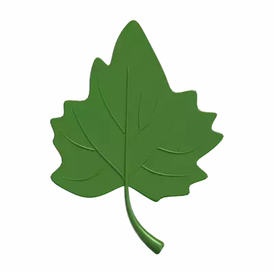 3D Spring Leaf Icon Model 3D Graphic