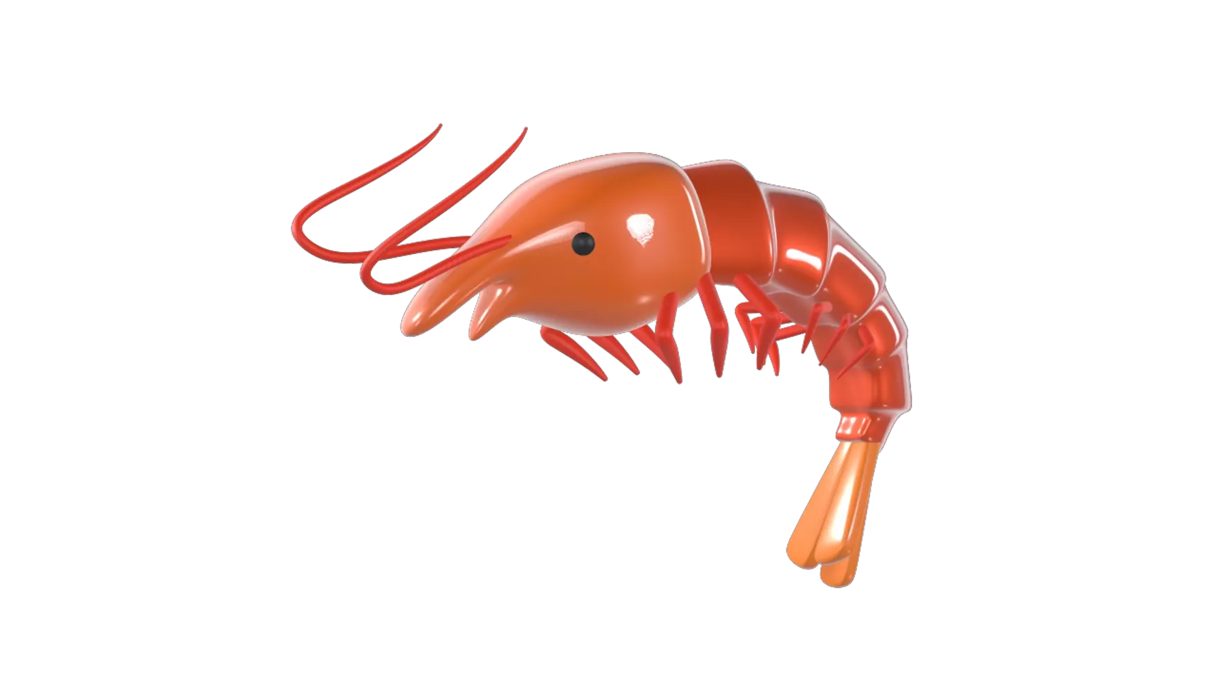 Shrimp 3D Graphic