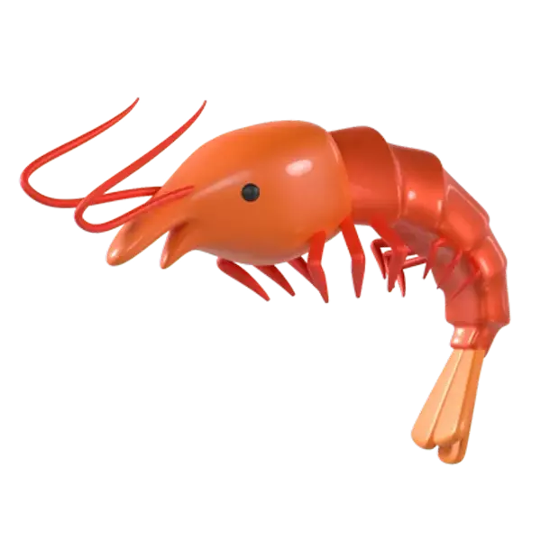 Shrimp 3D Graphic