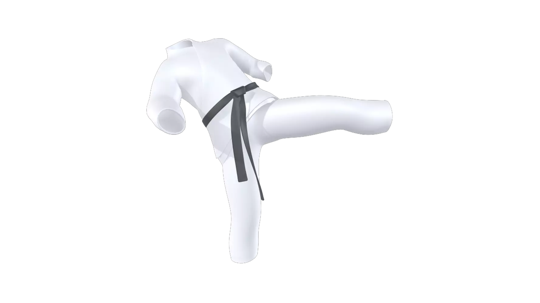 Taekwondo 3D Graphic