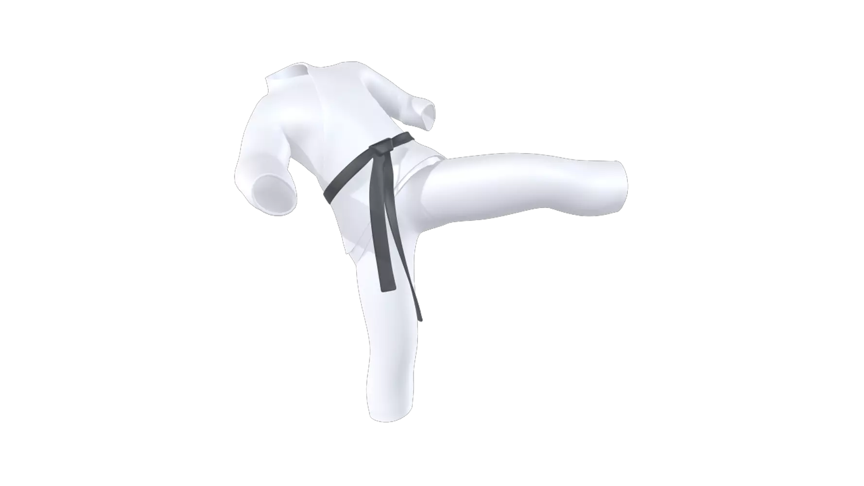 taekwondo 3D Graphic