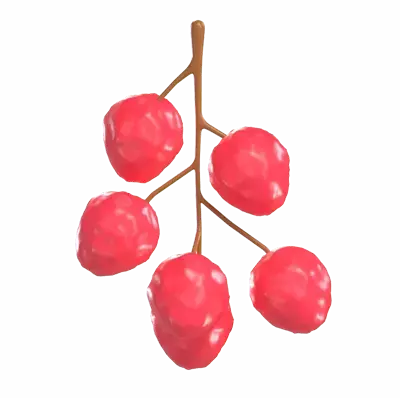 Lychee 3D Graphic