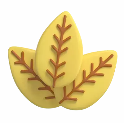 Leaf 3D Graphic