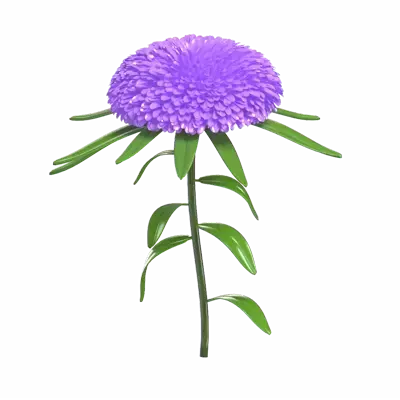3D Model Of Purple Aster Flower 3D Graphic