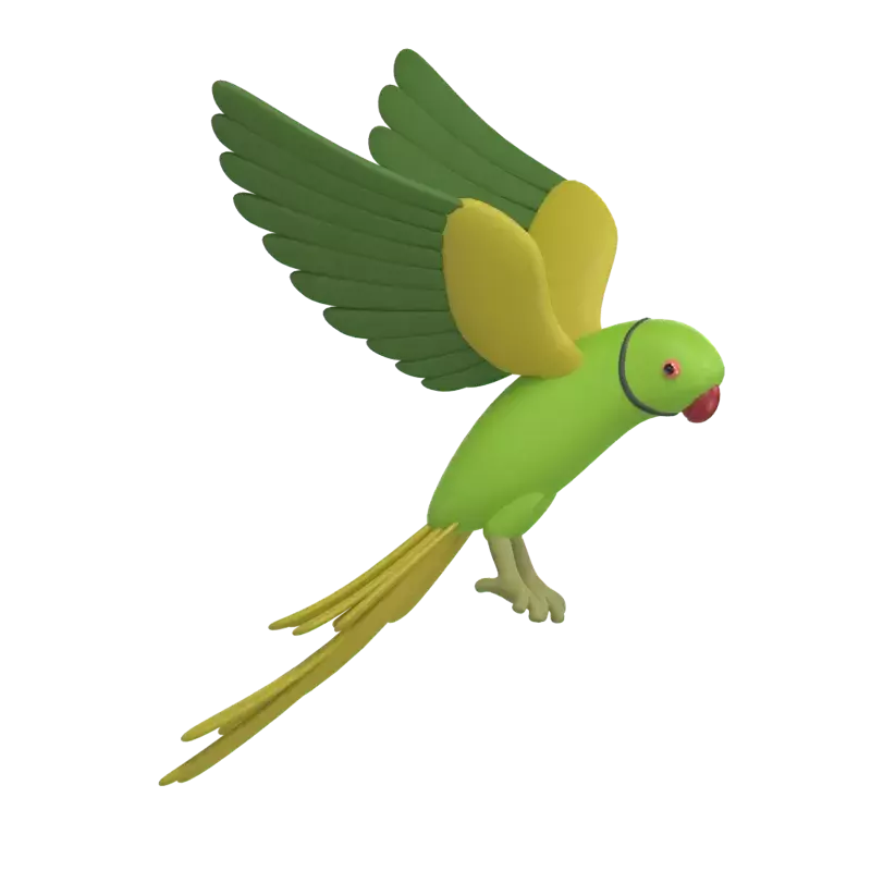 Parakeet 3D Graphic