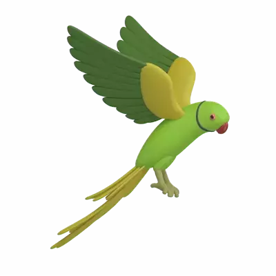 Parakeet 3D Graphic