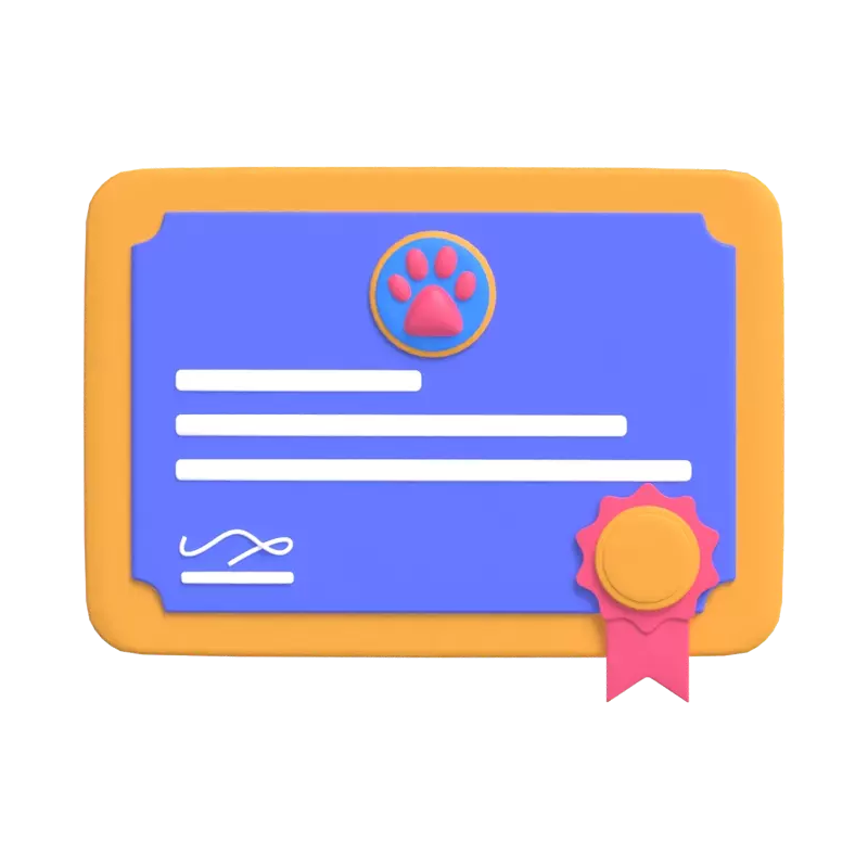 Certificate 3D Graphic