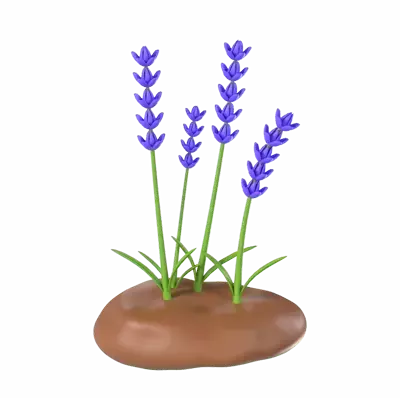 Lavender 3D Graphic