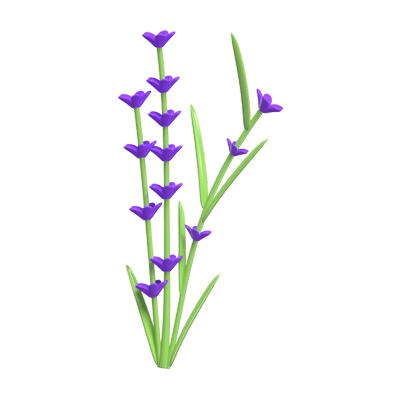 3D Lavender Cute With Three Stems 3D Graphic