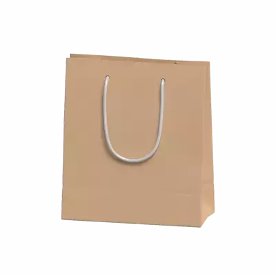 Large Craft Paper Bag With Rope Handles 3D Model 3D Graphic
