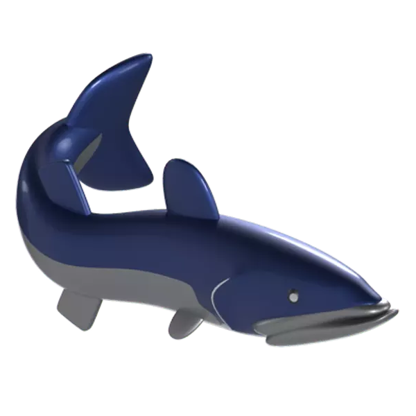 Barracuda 3D Graphic