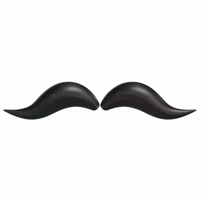 Mustache 3D Graphic