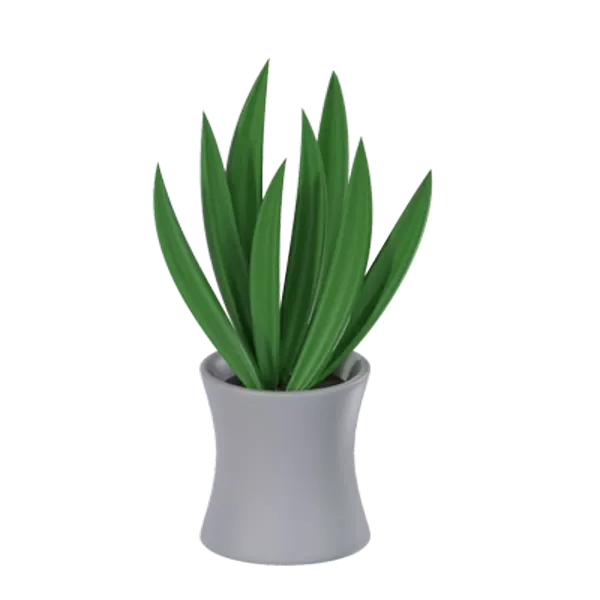 Aloe Vera With Pot 3D Graphic