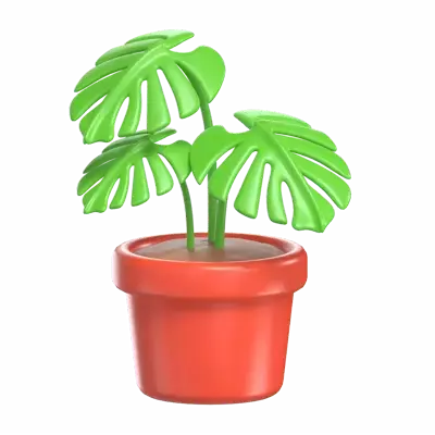 Monstera 3D Graphic