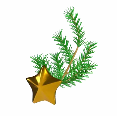 Star Branch For Christmas 3D Graphic
