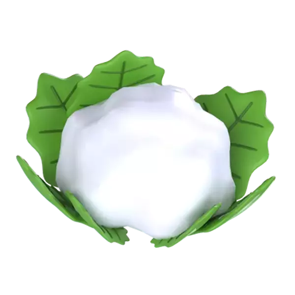 Cauliflower 3D Graphic