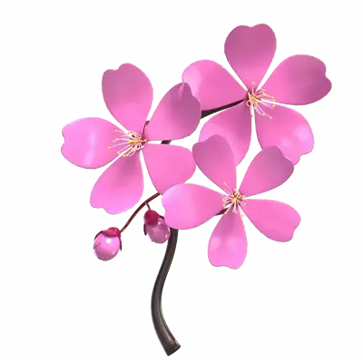 3D Cherry Blossom Model Blooms and Buds 3D Graphic