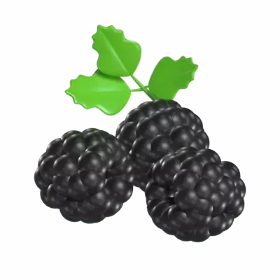 Blackberries 3d model--91efa9da-4d15-47e4-92d9-74ccca99dc6e