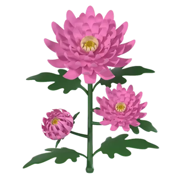 Chrysanthemum 3d model--9a97f487-3c08-4e40-b761-d1a5b8109263
