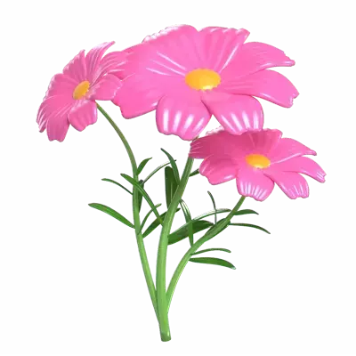 Cosmos Flower 3D Model Of Three Blossoms 3D Graphic