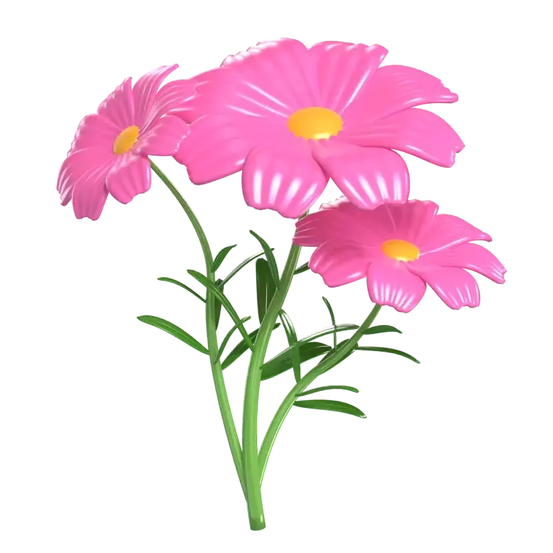 Cosmos Flower 3D Model Of Three Blossoms 3D Graphic