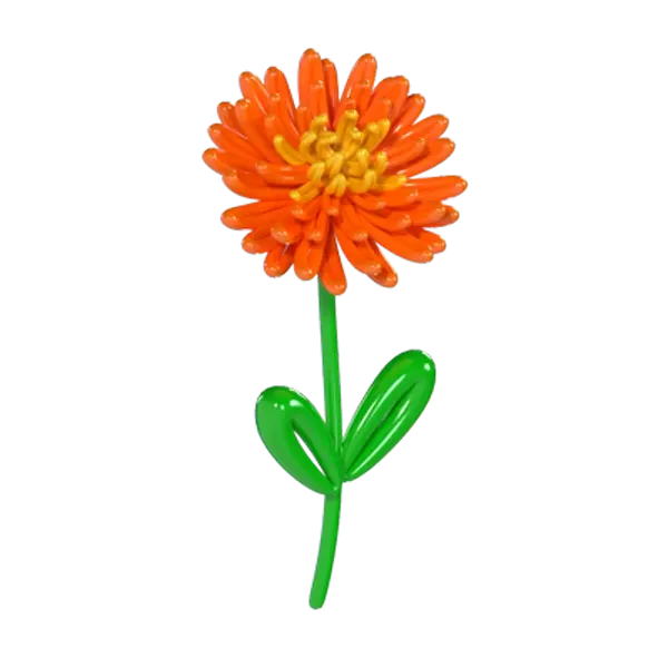 Chrysanthemum Balloon